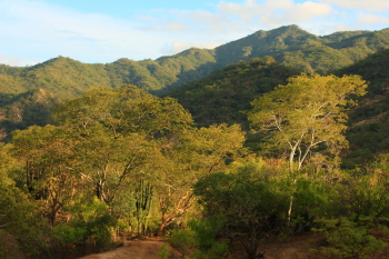 sierra lajuna mountains