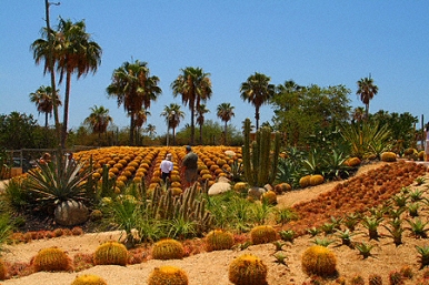cacti-mundo world, a botanical desert garden in Los Csbos