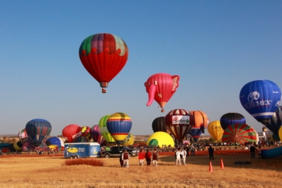 hot air elephant balloon