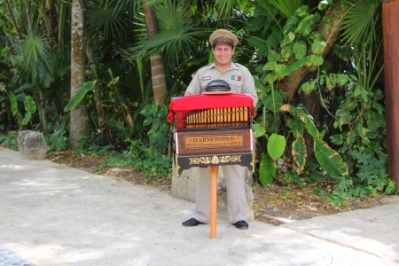 This organ grinder walks around the park and plays traditional mexican folk music