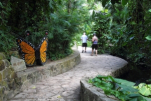 a monarch butterfly sculpture along the trail through this pavilion