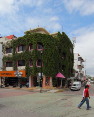 This vine covered hotel is one of the first on La Quinta and is also one of the most affordable