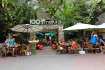a popular open air restaurant with natural organic foods