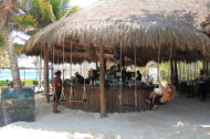 there are several beach clubs in town and here's a look at Ziggy's swing bar