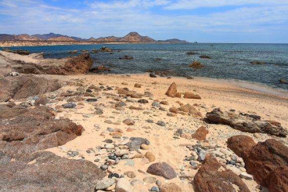 a rocky coastal ecosystem located in the desert environment of baja california sur