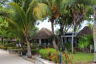 vacation rental homes overlooking akumal bay
