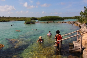 north end of akumal where fresh water from the yucatan blends with the caribean