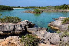 a sheltered lagoon with calm, clear water and lots of tropical fish