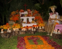 day of the dead altar and offerings