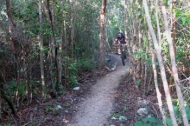 one of the easier jungle trails which has been graded. the more difficult trails are not graded and can be rough