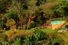 An ecological reserve in San Cristobal with a hiking path, orchid greenhouse, and variety of flora such as cactus, bromeliads and ferns.