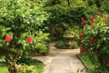 Another part of the Garden Pathways