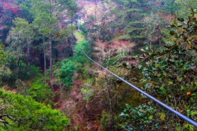 Here's an example of a zip line adventure