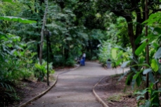 Uribe Botanical Gardens