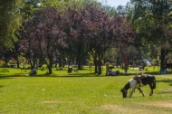 Park Hurtado offers horseback riding for children, outdoor excersize equipment, picnic areas, open fields for sports, a small lake, and trails for walking or joggings